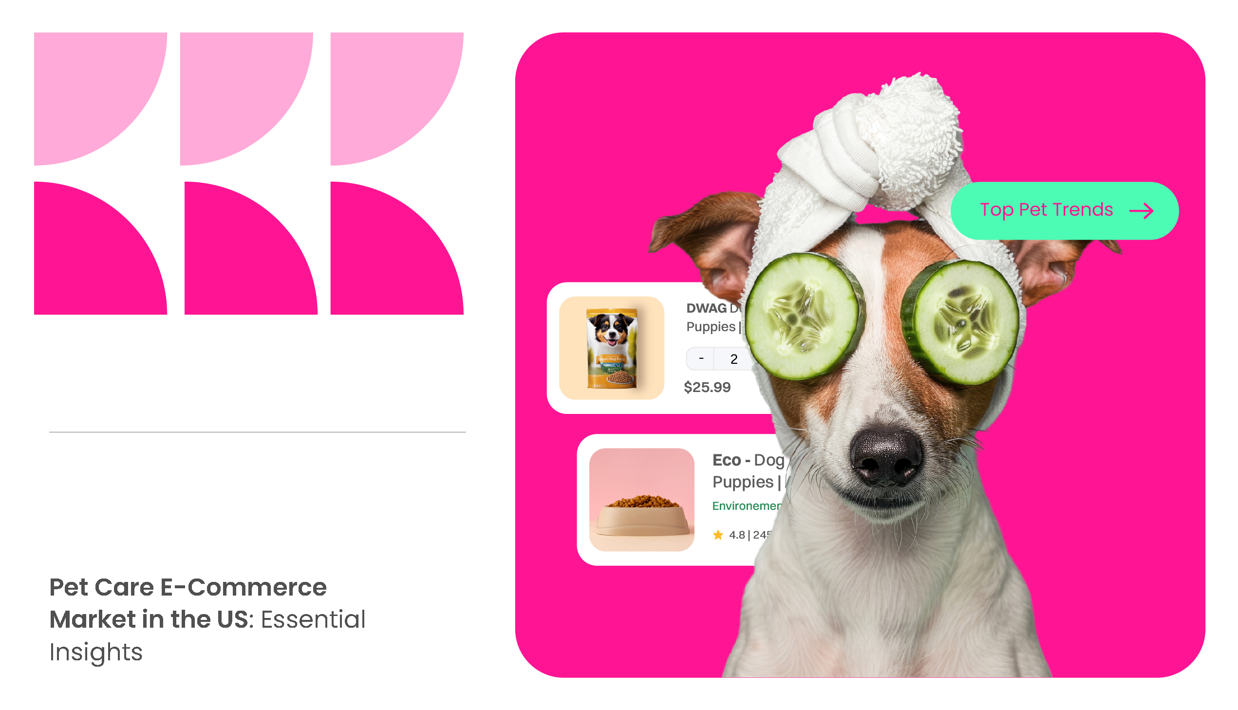 An image of pet care e-commerce market