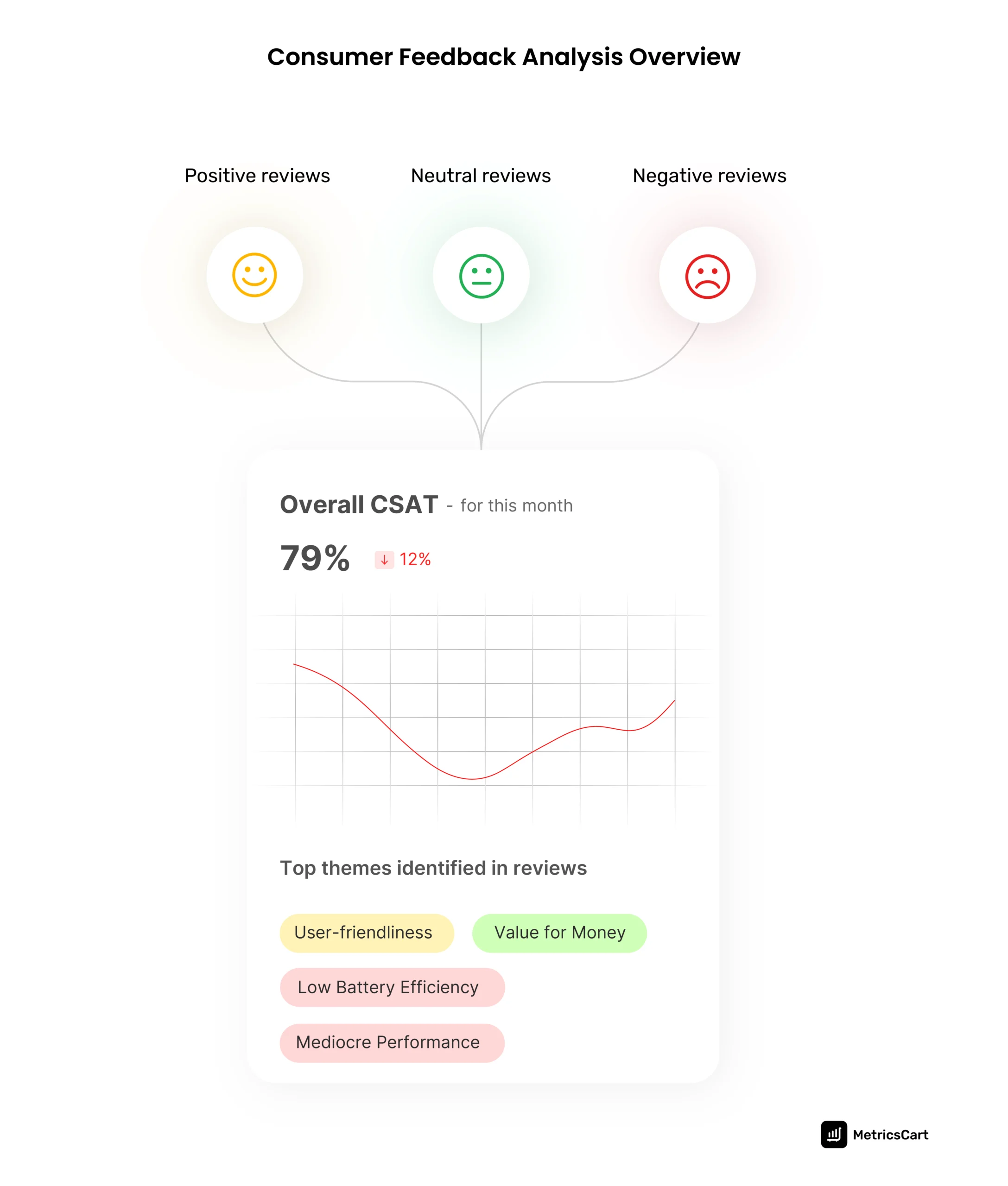 An image showing the overview of consumer feedback analysis