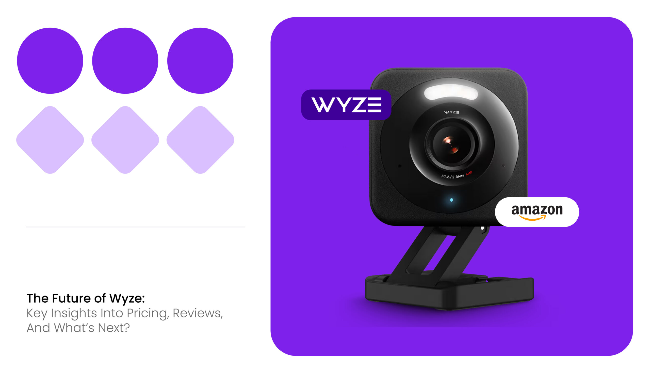 Future of Wyze