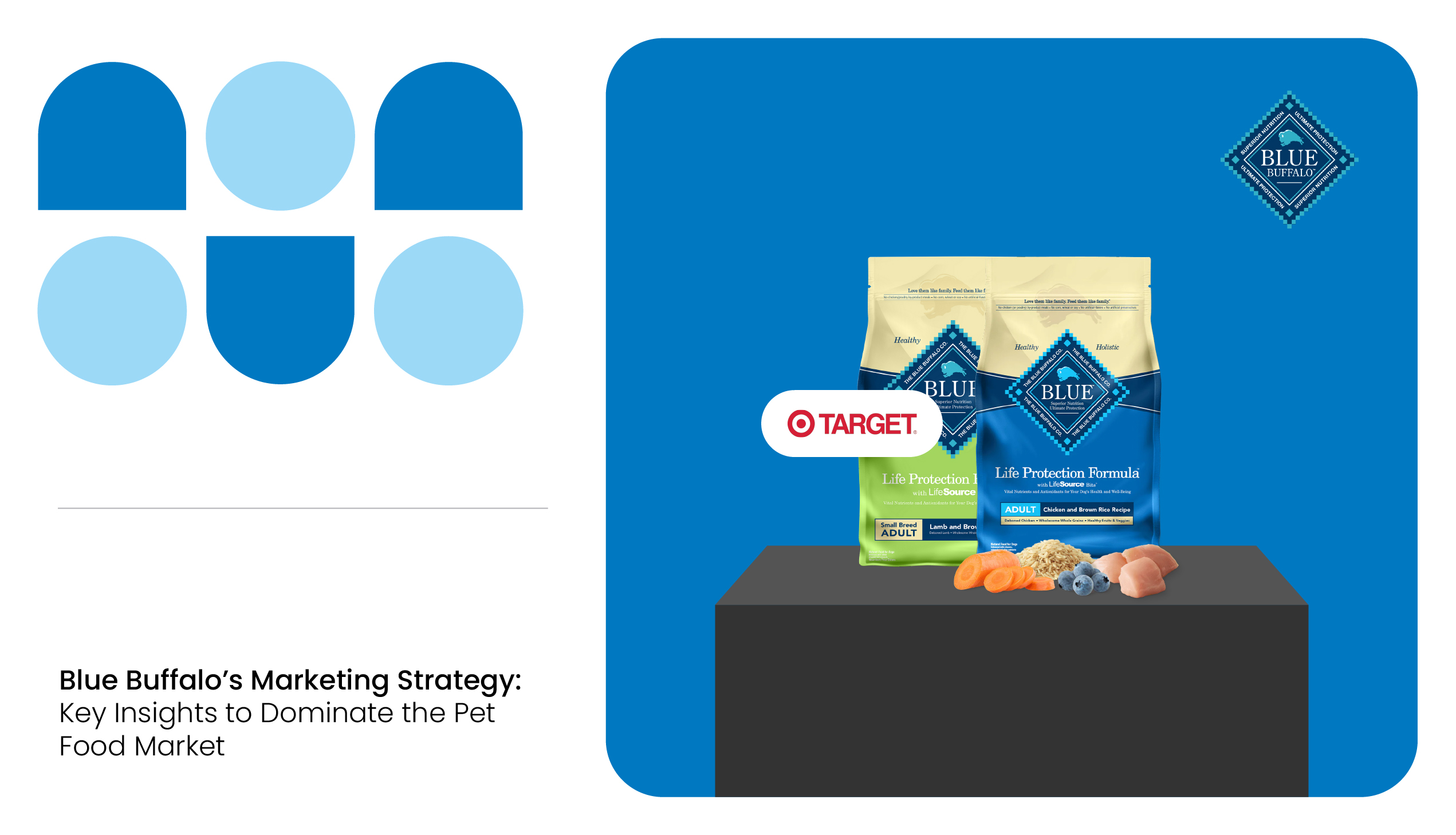 Blue Buffalo Marketing Strategy