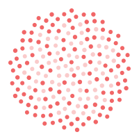 Competitor 4