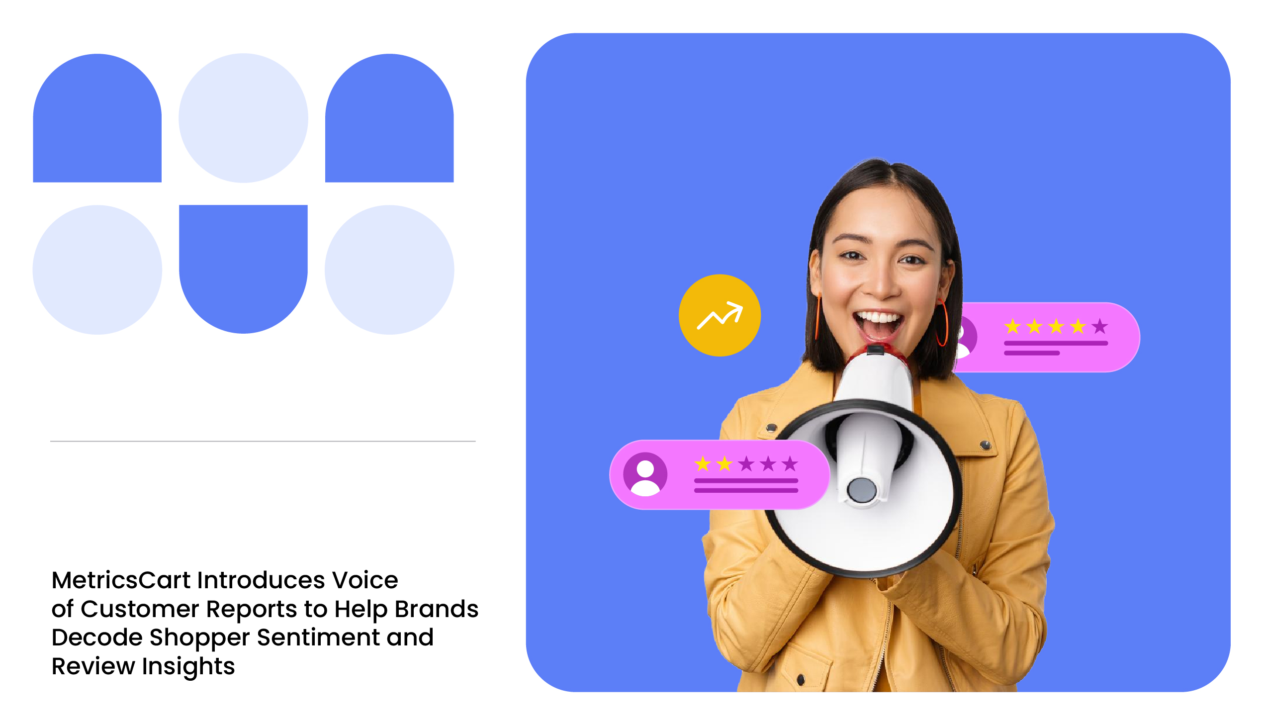 MetricsCart Voice of Customer Reports